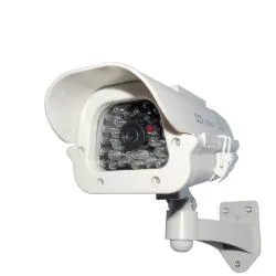 7" Dummy Camera Outdoor Housing and Solar Powered Light